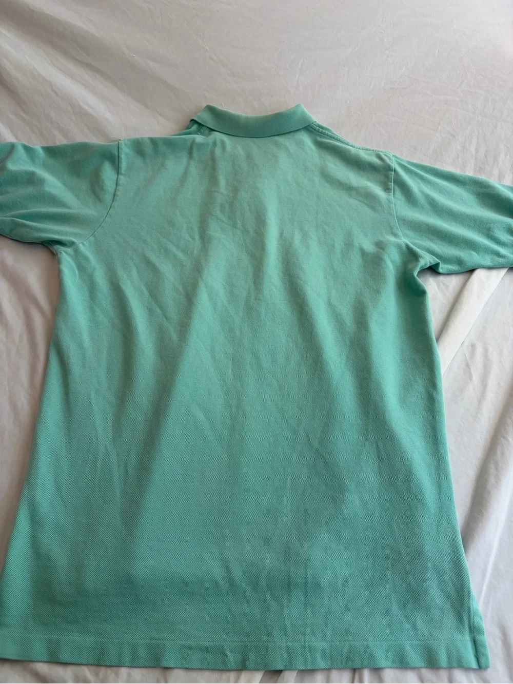 Ralph Lauren Men’s Mint Green Polo Shirt